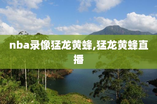 nba录像猛龙黄蜂,猛龙黄蜂直播