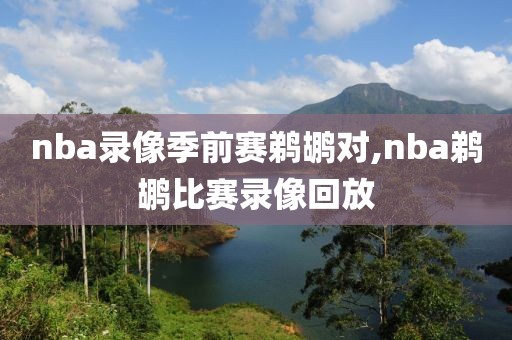 nba录像季前赛鹈鹕对,nba鹈鹕比赛录像回放