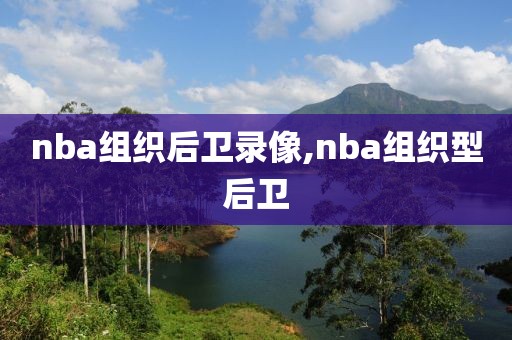 nba组织后卫录像,nba组织型后卫