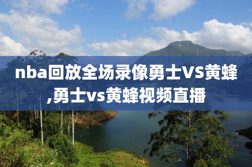 nba回放全场录像勇士VS黄蜂,勇士vs黄蜂视频直播