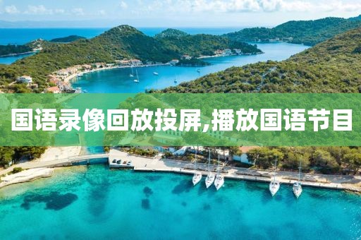 国语录像回放投屏,播放国语节目