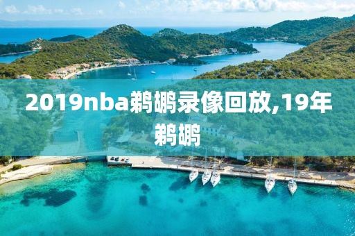 2019nba鹈鹕录像回放,19年鹈鹕