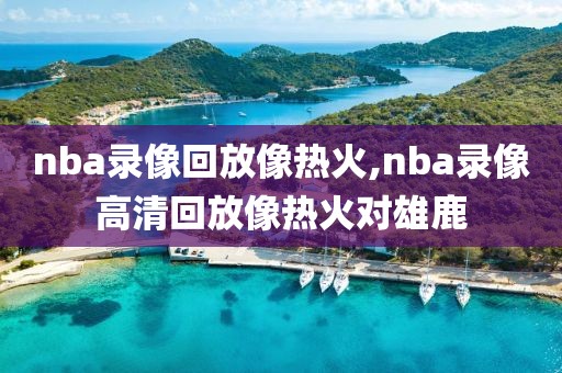 nba录像回放像热火,nba录像高清回放像热火对雄鹿