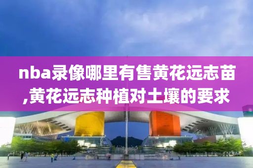 nba录像哪里有售黄花远志苗,黄花远志种植对土壤的要求