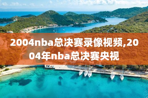 2004nba总决赛录像视频,2004年nba总决赛央视