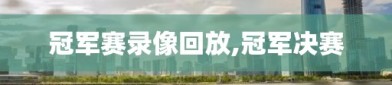冠军赛录像回放,冠军决赛