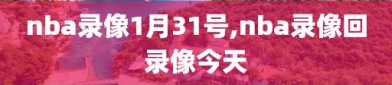 nba录像1月31号,nba录像回录像今天