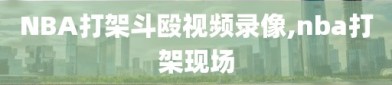 NBA打架斗殴视频录像,nba打架现场