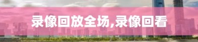 录像回放全场,录像回看