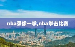 nba录像一拳,nba拳击比赛