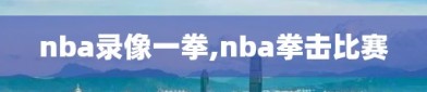 nba录像一拳,nba拳击比赛