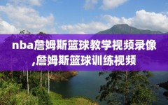 nba詹姆斯篮球教学视频录像,詹姆斯篮球训练视频