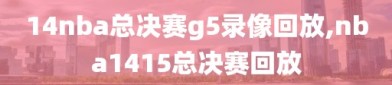 14nba总决赛g5录像回放,nba1415总决赛回放