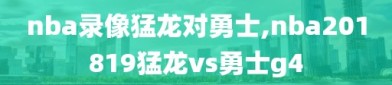 nba录像猛龙对勇士,nba201819猛龙vs勇士g4