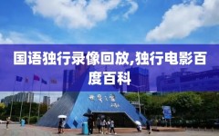 国语独行录像回放,独行电影百度百科