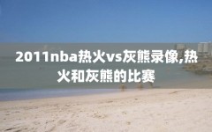 2011nba热火vs灰熊录像,热火和灰熊的比赛