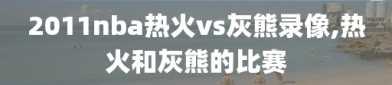 2011nba热火vs灰熊录像,热火和灰熊的比赛