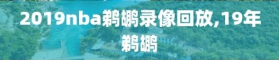 2019nba鹈鹕录像回放,19年鹈鹕