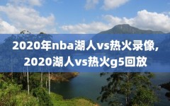 2020年nba湖人vs热火录像,2020湖人vs热火g5回放