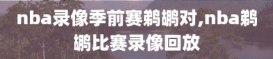 nba录像季前赛鹈鹕对,nba鹈鹕比赛录像回放