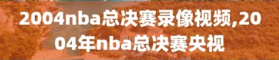 2004nba总决赛录像视频,2004年nba总决赛央视