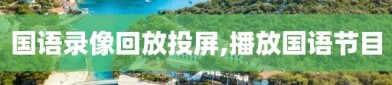 国语录像回放投屏,播放国语节目