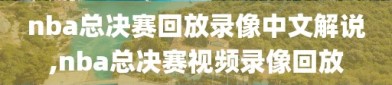 nba总决赛回放录像中文解说,nba总决赛视频录像回放