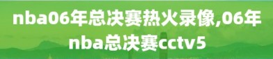nba06年总决赛热火录像,06年nba总决赛cctv5