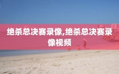 绝杀总决赛录像,绝杀总决赛录像视频