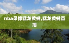 nba录像猛龙黄蜂,猛龙黄蜂直播