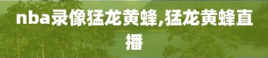 nba录像猛龙黄蜂,猛龙黄蜂直播