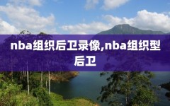 nba组织后卫录像,nba组织型后卫
