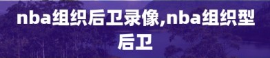 nba组织后卫录像,nba组织型后卫