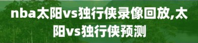 nba太阳vs独行侠录像回放,太阳vs独行侠预测