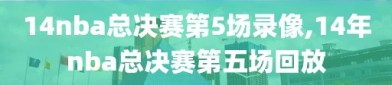 14nba总决赛第5场录像,14年nba总决赛第五场回放