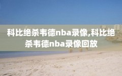 科比绝杀韦德nba录像,科比绝杀韦德nba录像回放