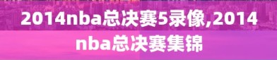 2014nba总决赛5录像,2014nba总决赛集锦