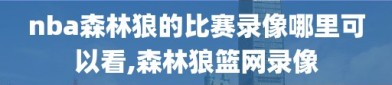 nba森林狼的比赛录像哪里可以看,森林狼篮网录像